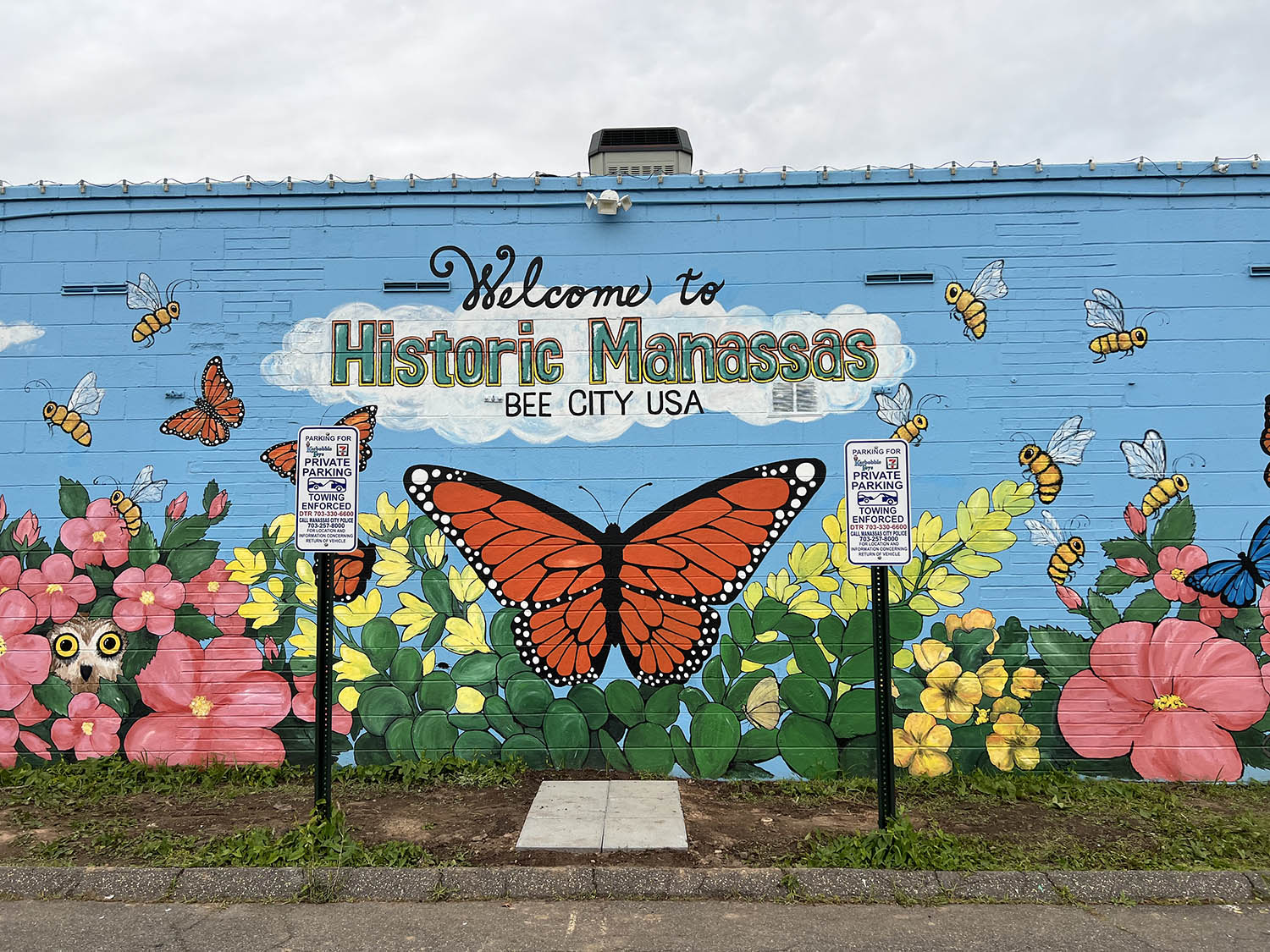 The New Pollinator Mural in Old Town Manassas!